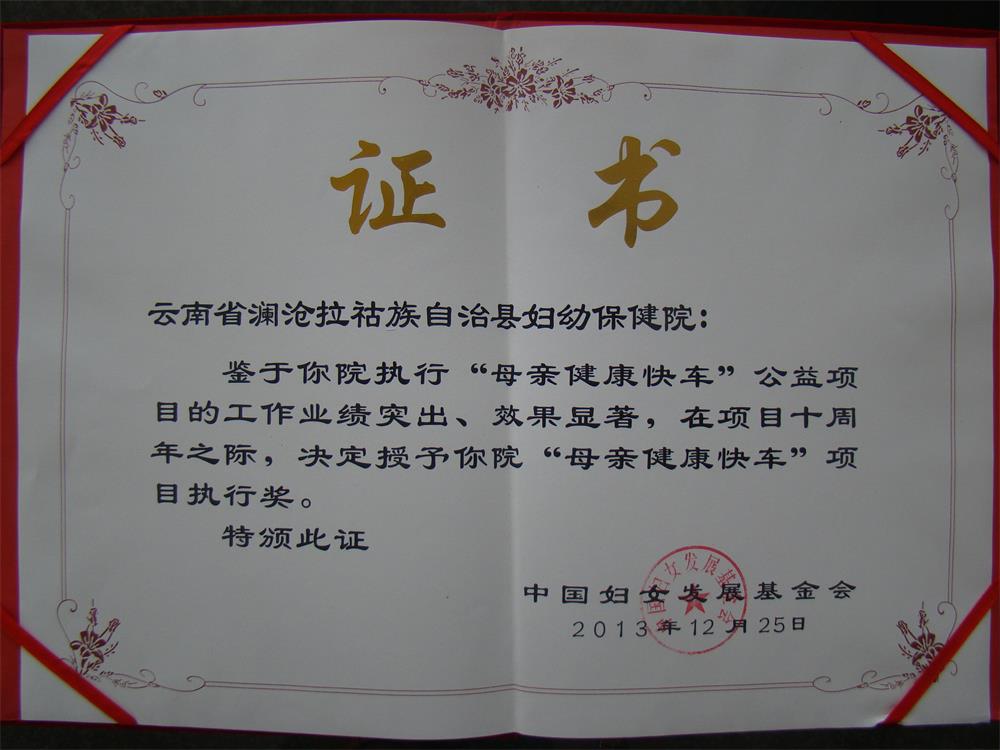 2013年各项荣誉