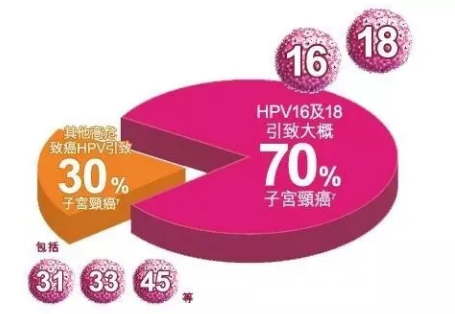 2价/4价/9价HPV疫苗，到底打哪一种才是适合自己的？了解好这7个问题，再预约接种也不晚