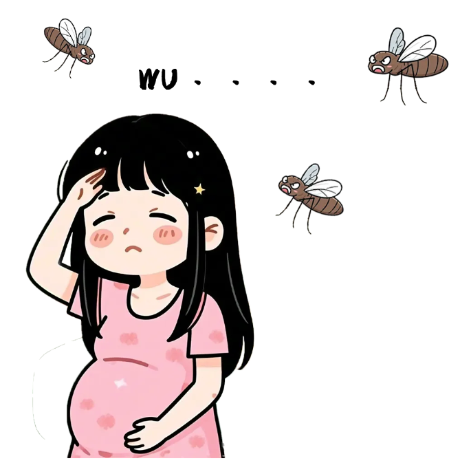疟疾对孕妈妈的影响