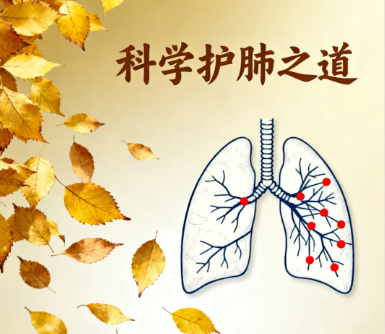 秋季养肺正当时！中医智慧助你守护呼吸健康