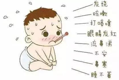 图片31.png